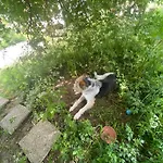 בית נופש Wildflower Lane *