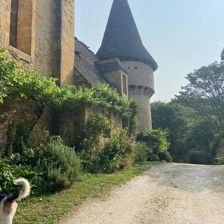 Wildflower Lane Дом отдыха *