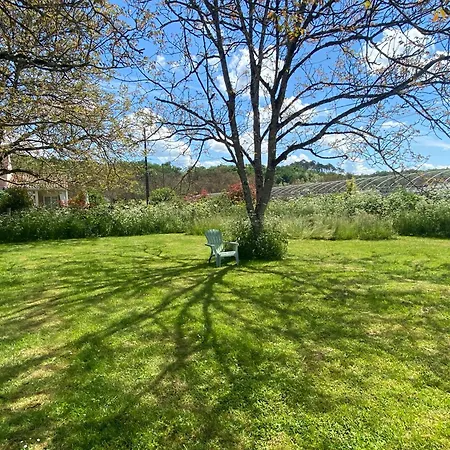Hébergement de vacances Wildflower Lane *