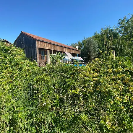Wildflower Lane 別荘